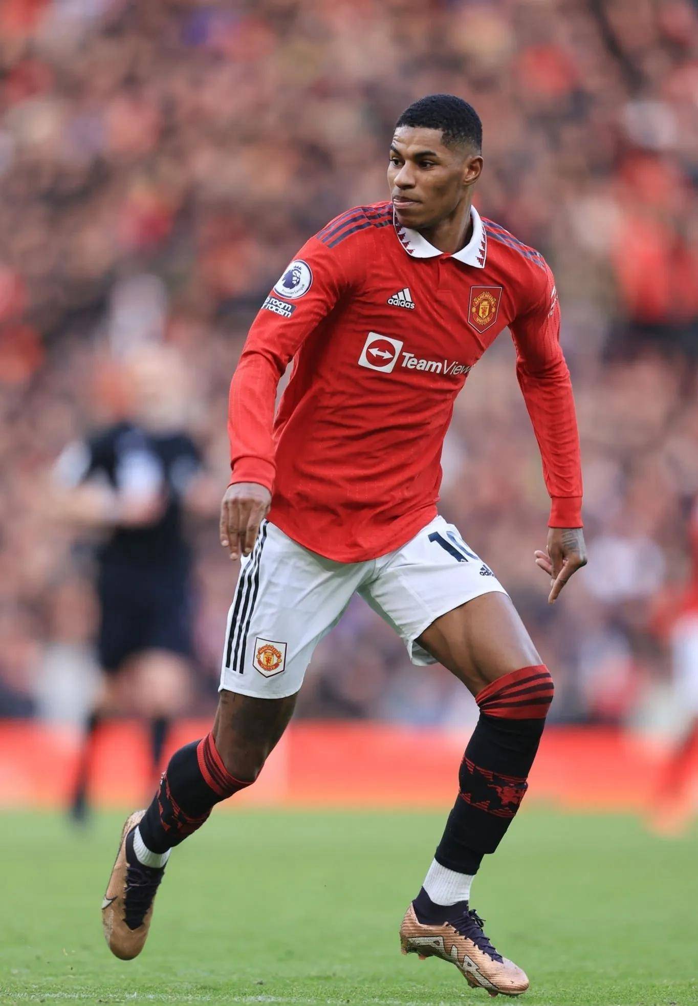 之间极高的 之间极高的